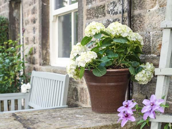 Beacon Cottage Ilkley Kültér fotó